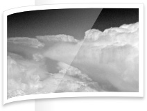 Contact Photo | Stormdance